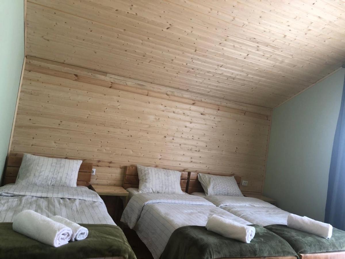 Cozy Place In Kazbegi Bagian luar foto