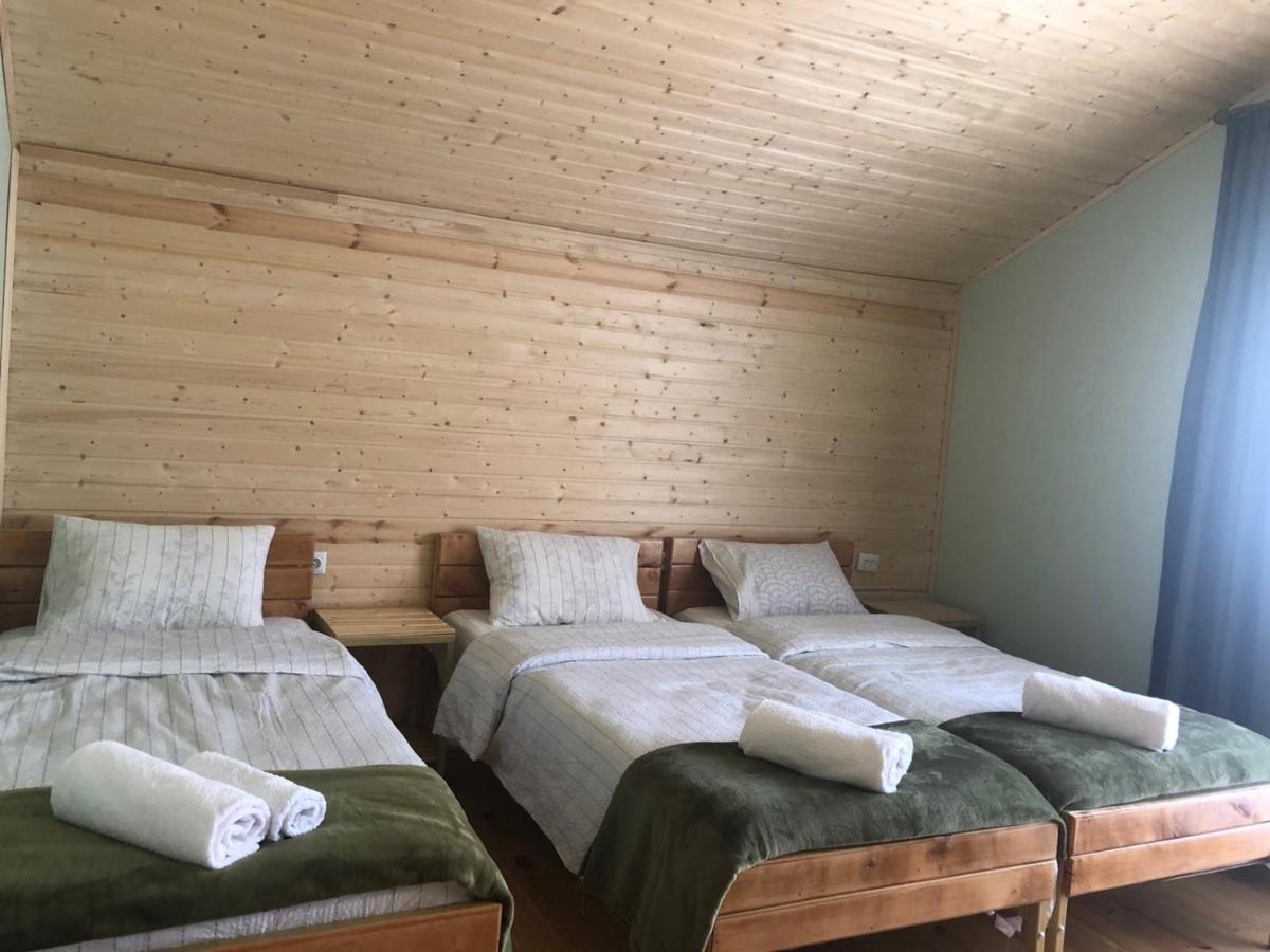 Cozy Place In Kazbegi Bagian luar foto